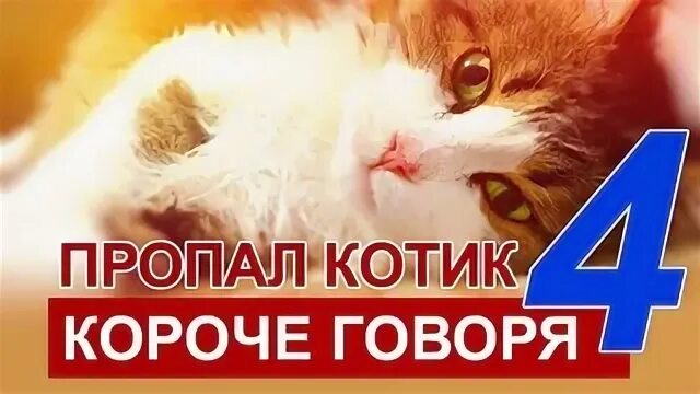 Скажи потерялись