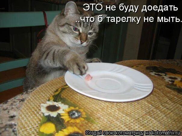 приходите в гости мясо доедаю оставляю. кошка на кухне. кот хочет кушать. селедка под шубой прикол. чаепитие с самоваром и баранками.