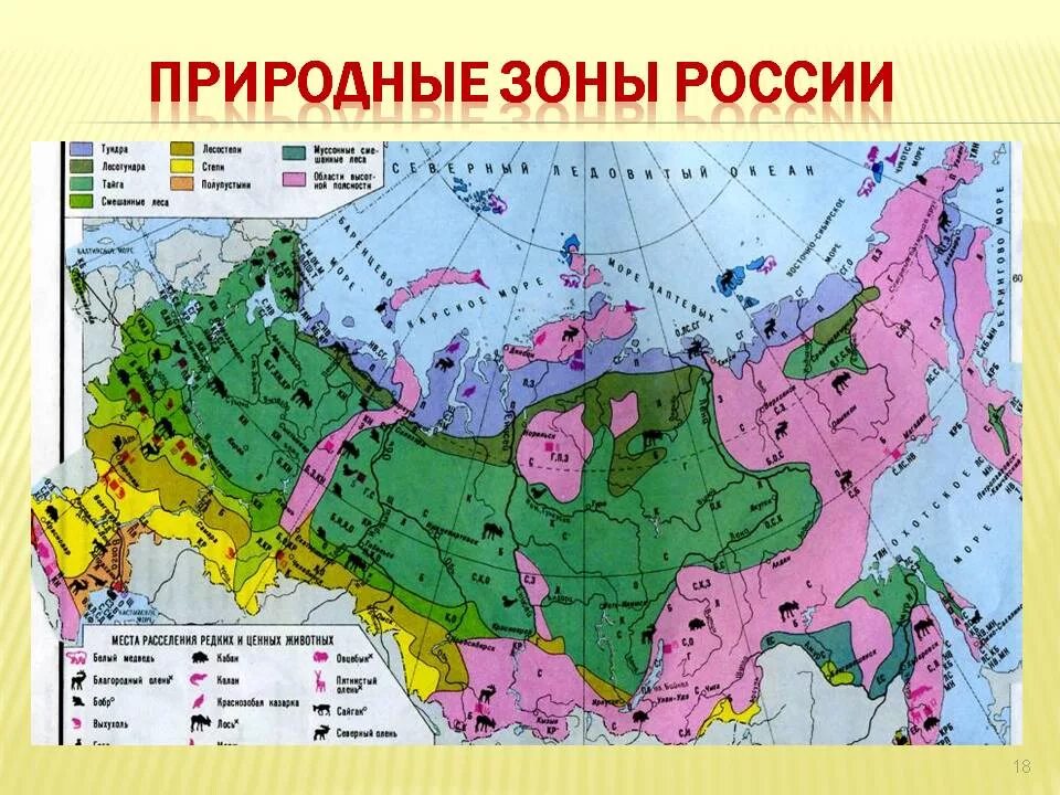 7 природных зон россии 4 класс. Географическая карта России с природными зонами. Природные зоны России на карте с названиями. Карта природных зон Росси 8кл. Природные зоны России карта 4кл.