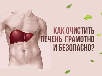 Чистить печень дома