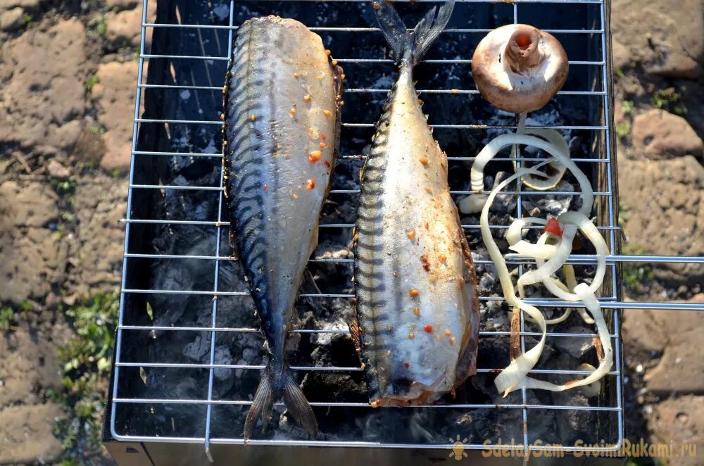 Запечь рыбу на мангале. Скумбрия на гриле. Скумбрия на костре на решетке. Скумбрия шашлык. Мангал рыба.