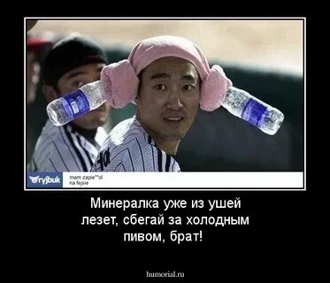 Прикол про уши