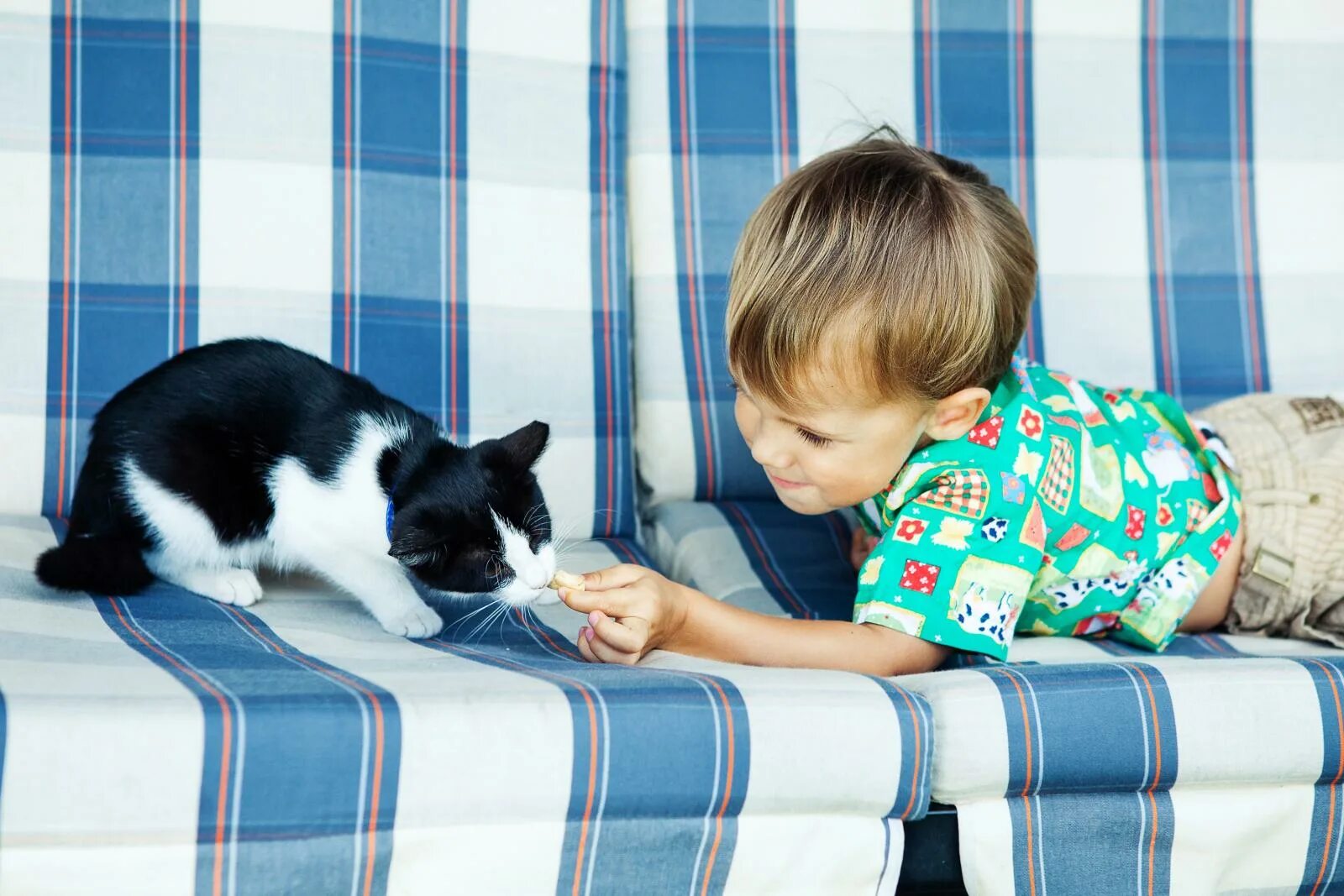 Кошка для детей. Счастливый малыш с котом. Кошка и собака играют с игрушками.