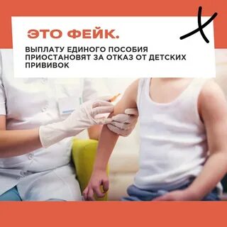 Прививка становись