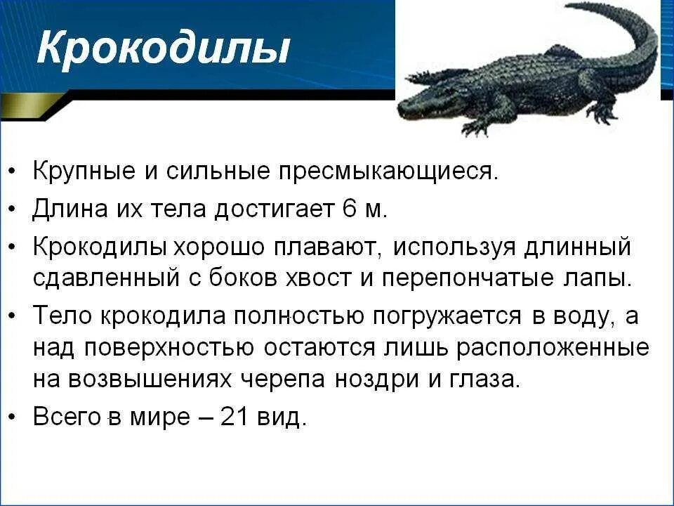 Тест по рептилиям 7 класс. Биология и описания крокодила. Характеристика крокодила. Характеристика крокодилов. Краткая характеристика крокодила.