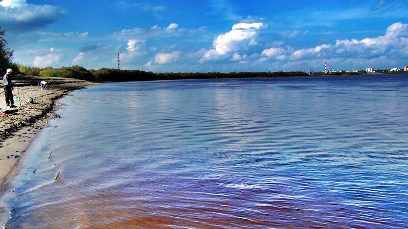 Красный Яр Новосибирск берег Оби. Юганская Обь поселок. Берег Юганской Оби. Берега Обь у Сургута. Какие города расположены на берегу обь