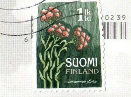 Finland Oulu. 