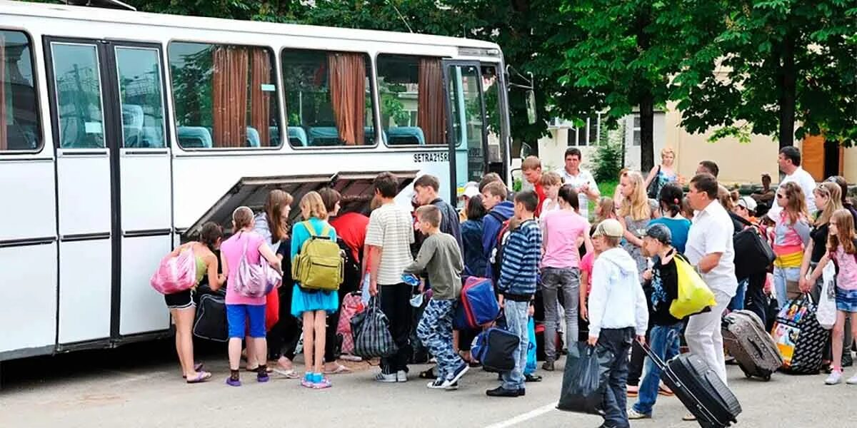 Организованным группам экскурсии. Школьные экскурсии автобусные. экскурсии для школьников. автобус для детей. дети на экскурсии.
