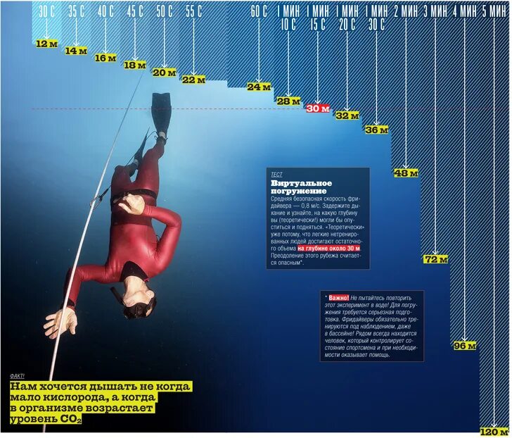 Максимальная глубина погружения. Максимальная глубина ныряния. Декомпрессионные погружения это. Максимальная глубина для человека.