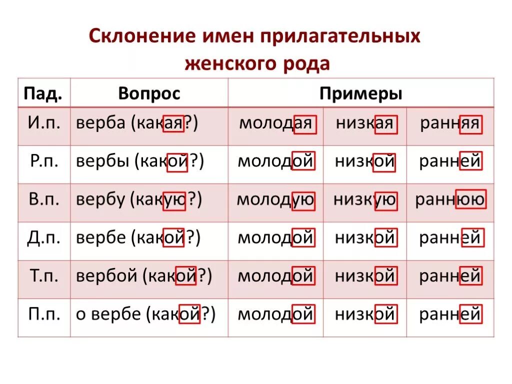 Ловили склонение. Склонение прилагательных женского рода. Падежные окончания прилагательных женского рода единственного числа. Склонение имён прилагательных женского рода 4 класс. Падежные окончания имён прилагательных женского рода..