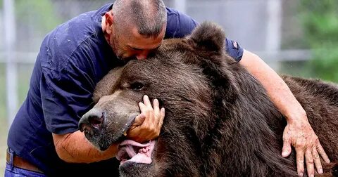 Самый опасный медведь в мире для человека