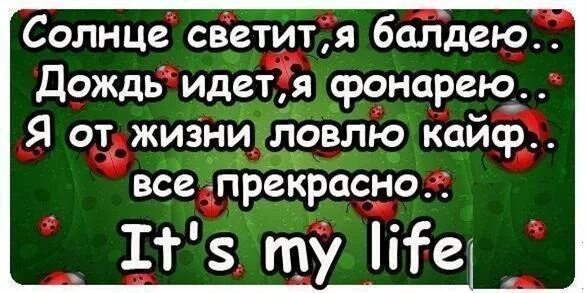 От другого кайф ловлю я не пью. Солнце светит я балдею. Солнце светит я балдею дождь идет я фонарею. Я балдею. Я балдею картинки.