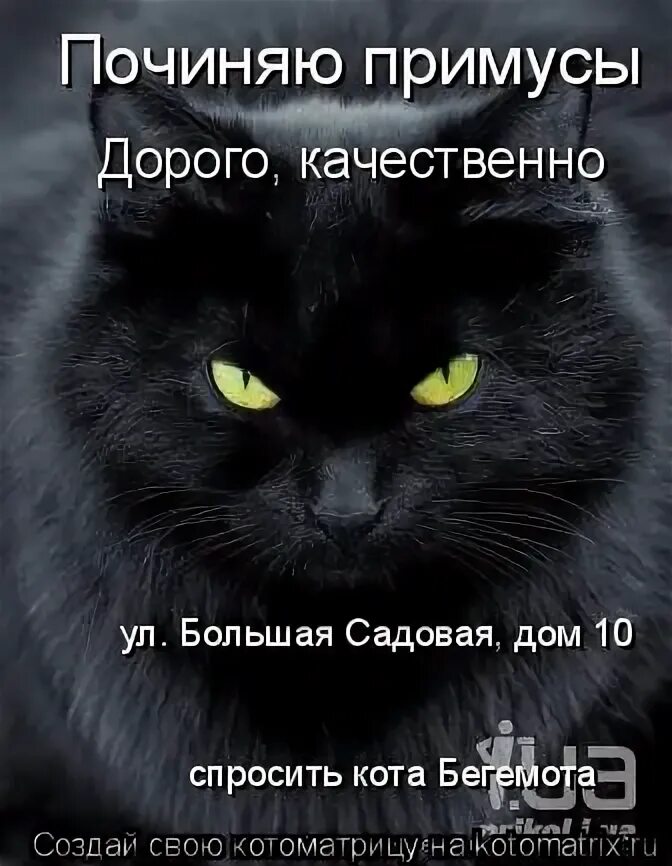 Подчиняет примус. Примус починяю. кот бегемот примус починяю. кот починяет примус. сижу починяю примус никого.