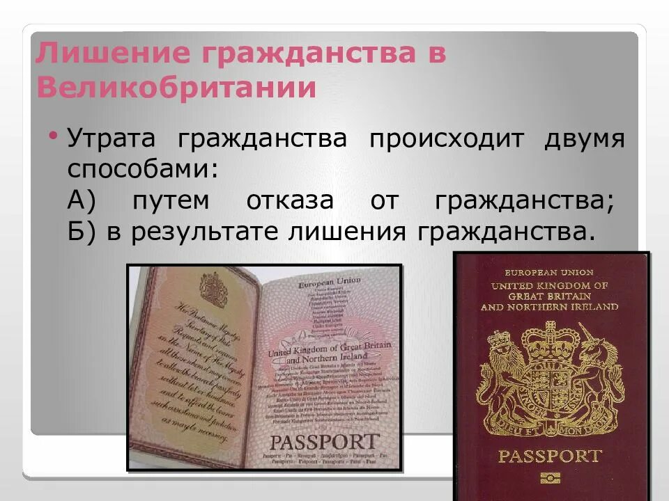 Сколько надо прожить чтобы получить гражданство. Лишение гражданства. Гражданство Великобритании натурализация. Получить гражданство США.