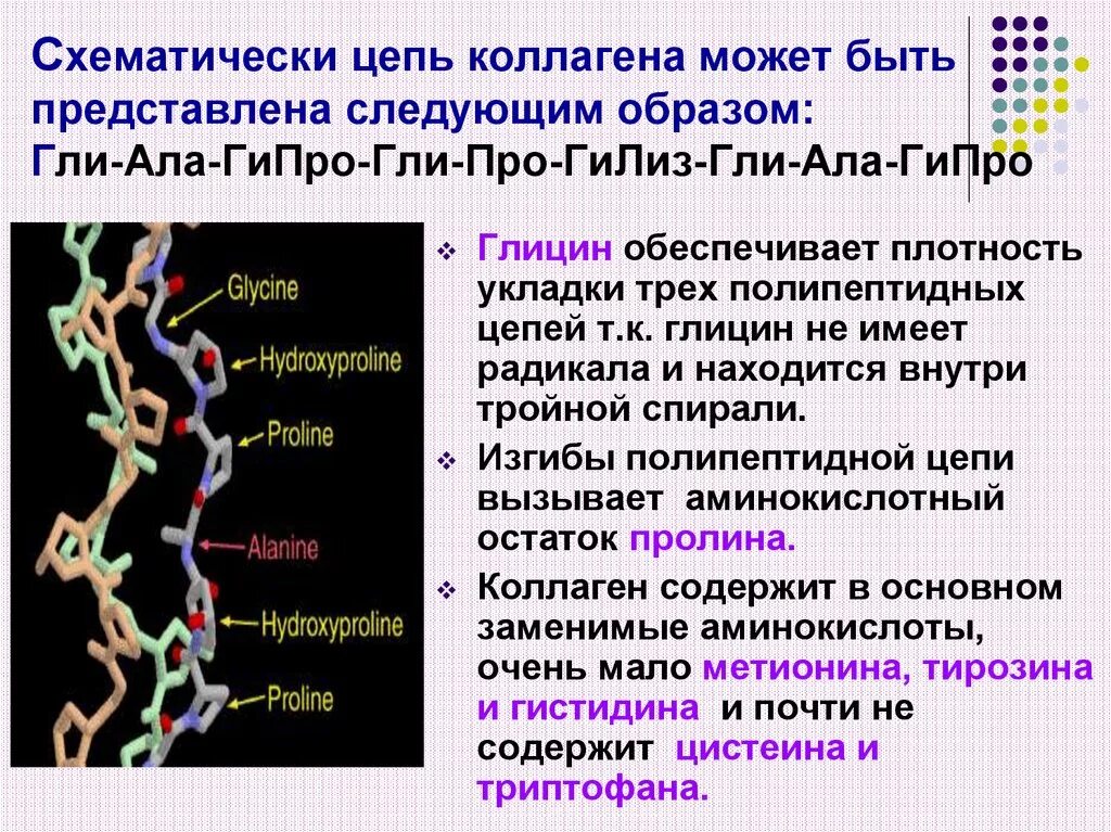 Витамин участвующий в синтезе коллагена. Структура коллагена аминокислоты. Аминокислотный состав коллагена. Альфа цепь коллагена. Строение коллагена биохимия.