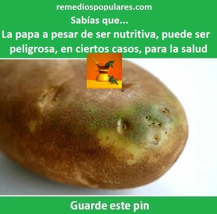Зеленый картофель можно. Позеленевшие клубни картофеля. Зеленая картошка. Зеленый клубень. Зеленые пятна на картошке.