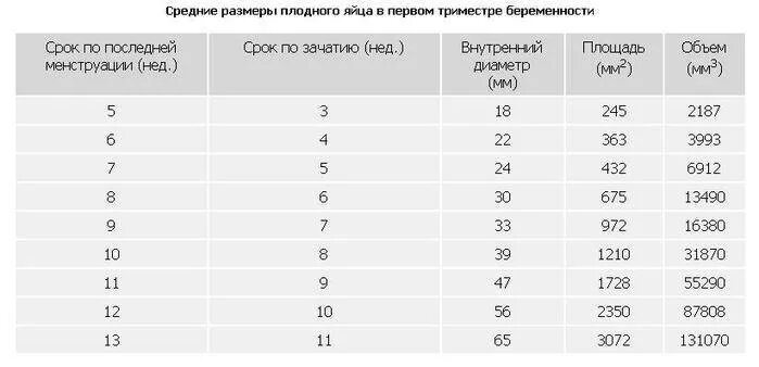 Размер плодного яйца на 7 неделе беременности. Диаметр плодного яйца на 6 неделе беременности. Размер плодного яйца в 5-6 недель беременности. Норма размера плодного яйца по неделям беременности таблица.