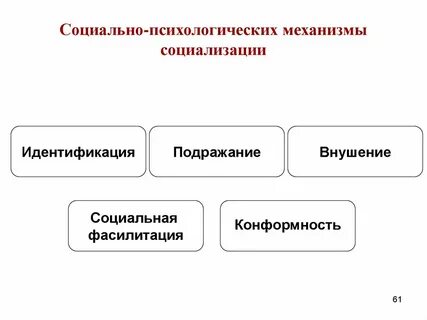 Раскройте механизмы социализации