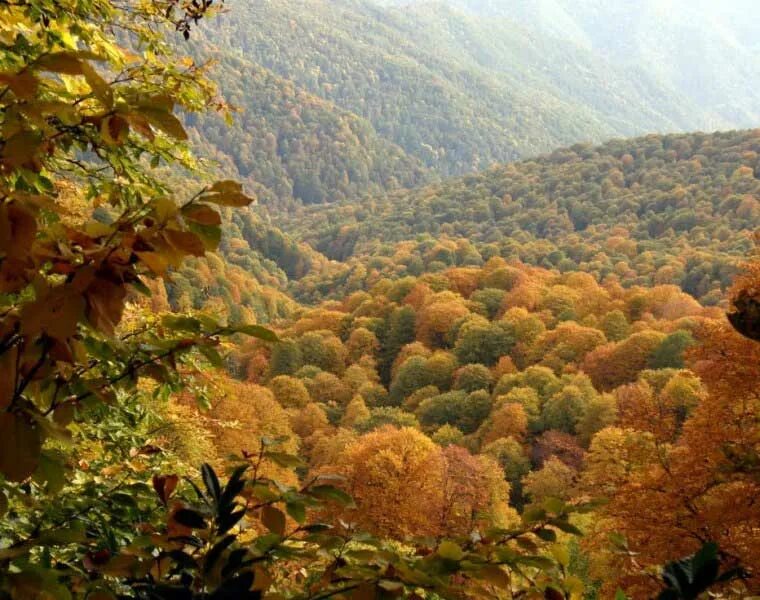 Солох аул сочи. Апшеронск краснодарский край горы. Природа краснодарского края осенью. Осень в краснодарском крае. Осенний мезмай.