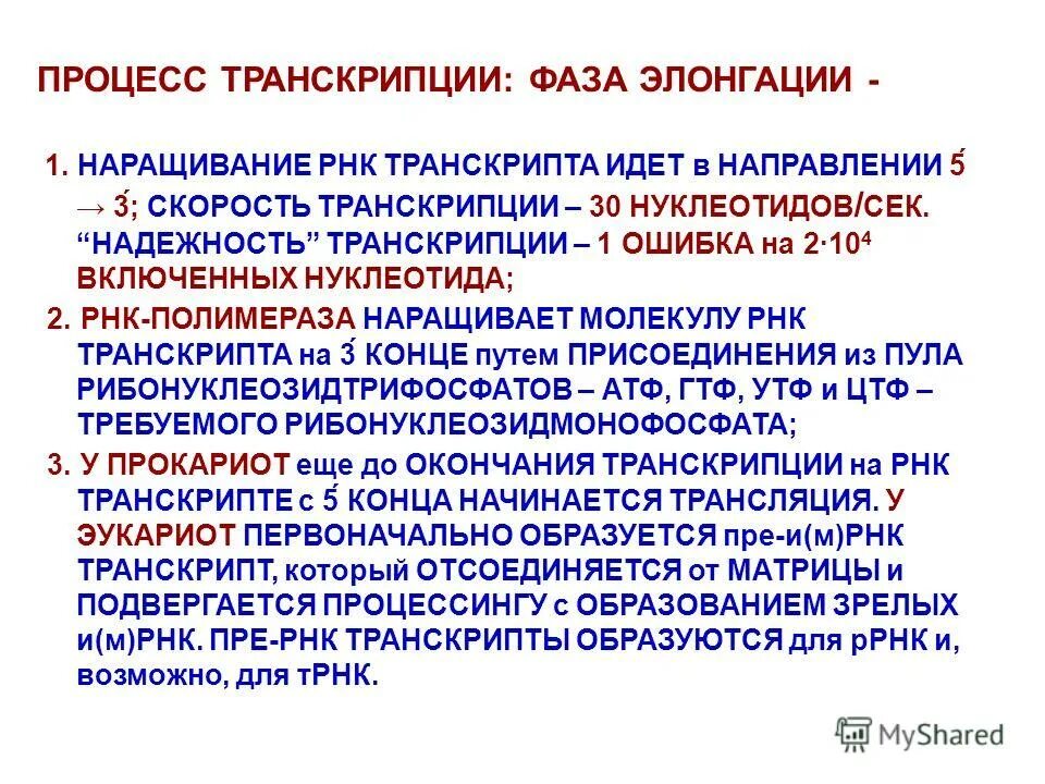 Элонгация транскрипции