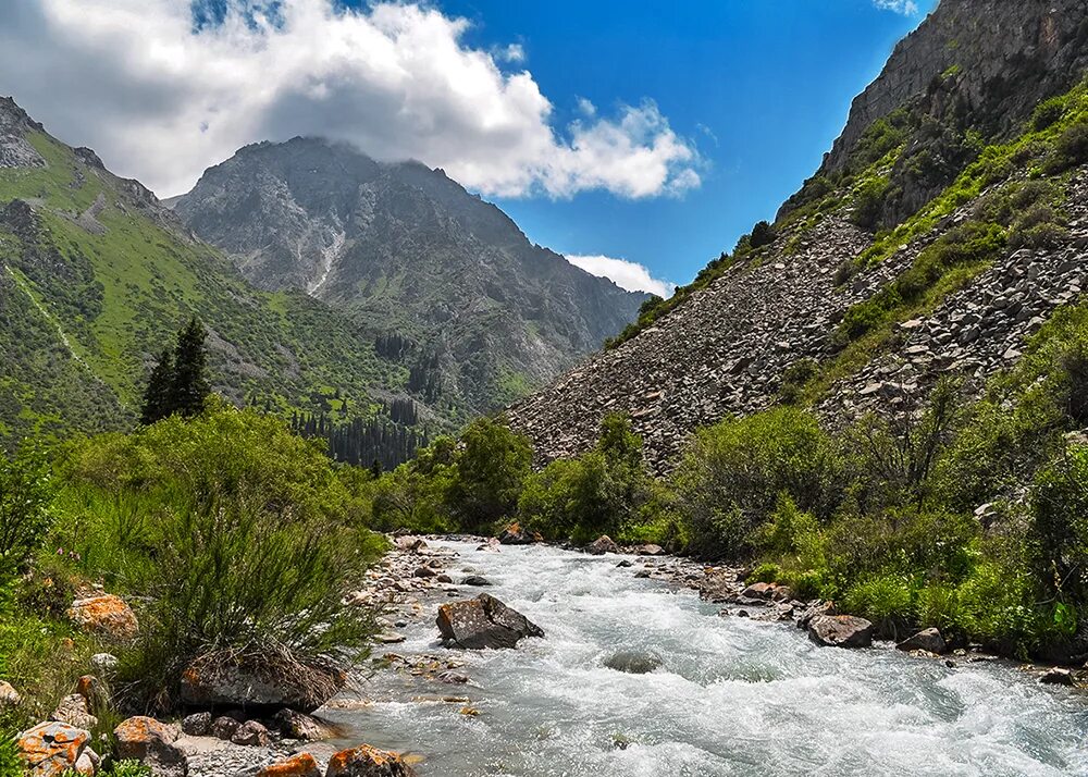 Ала арча бишкек. Ала-Арча (река). Природный парк ала Арча Кыргызстан. Ала Арчинское ущелье Киргизия. Ущелье ала Арча.