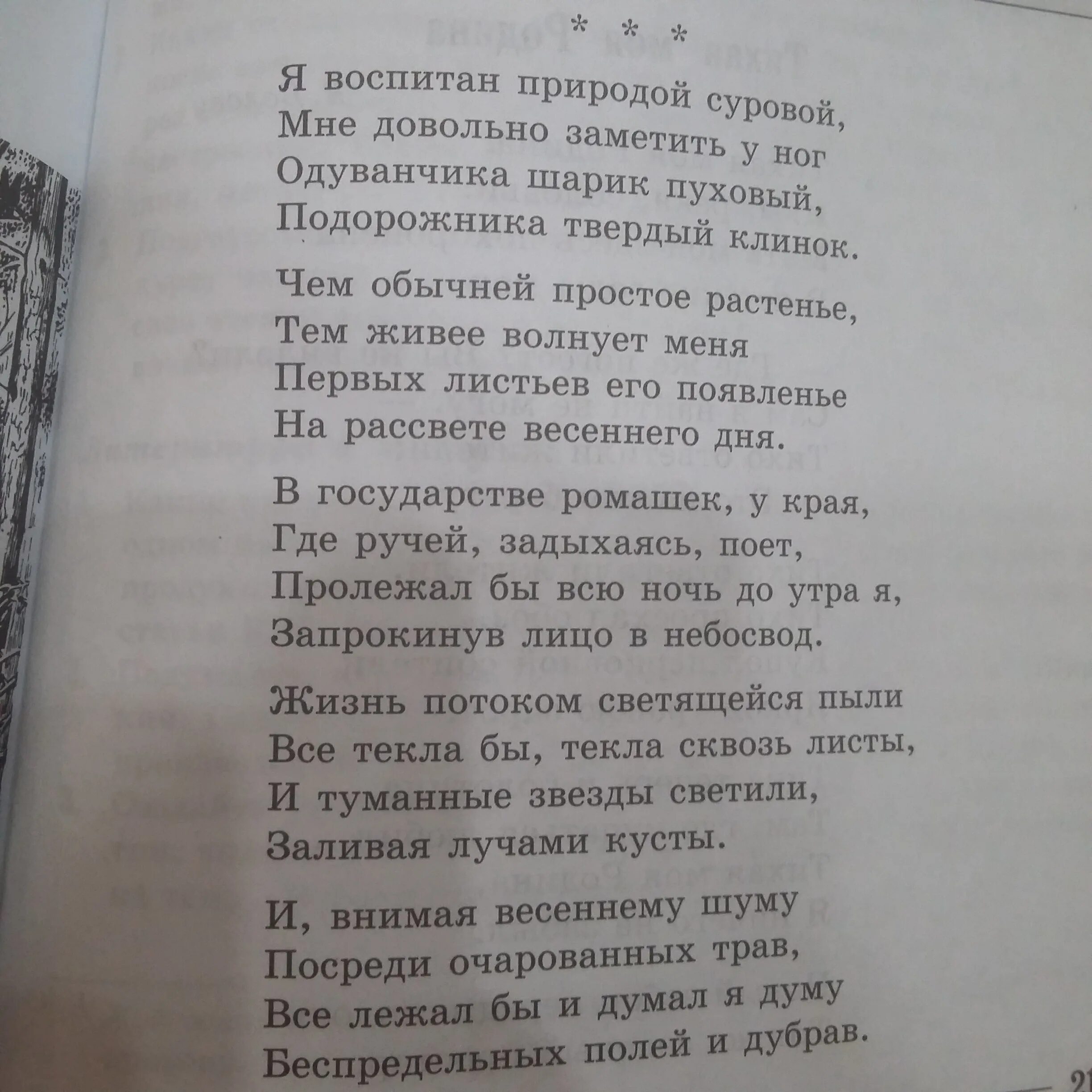 Стихотворение Заболоцкого. Заболоцкий стихи. Н Заболоцкий стихи. Стих я воспитан природой суровой Заболоцкий. Стихотворения заболоцкого о природе