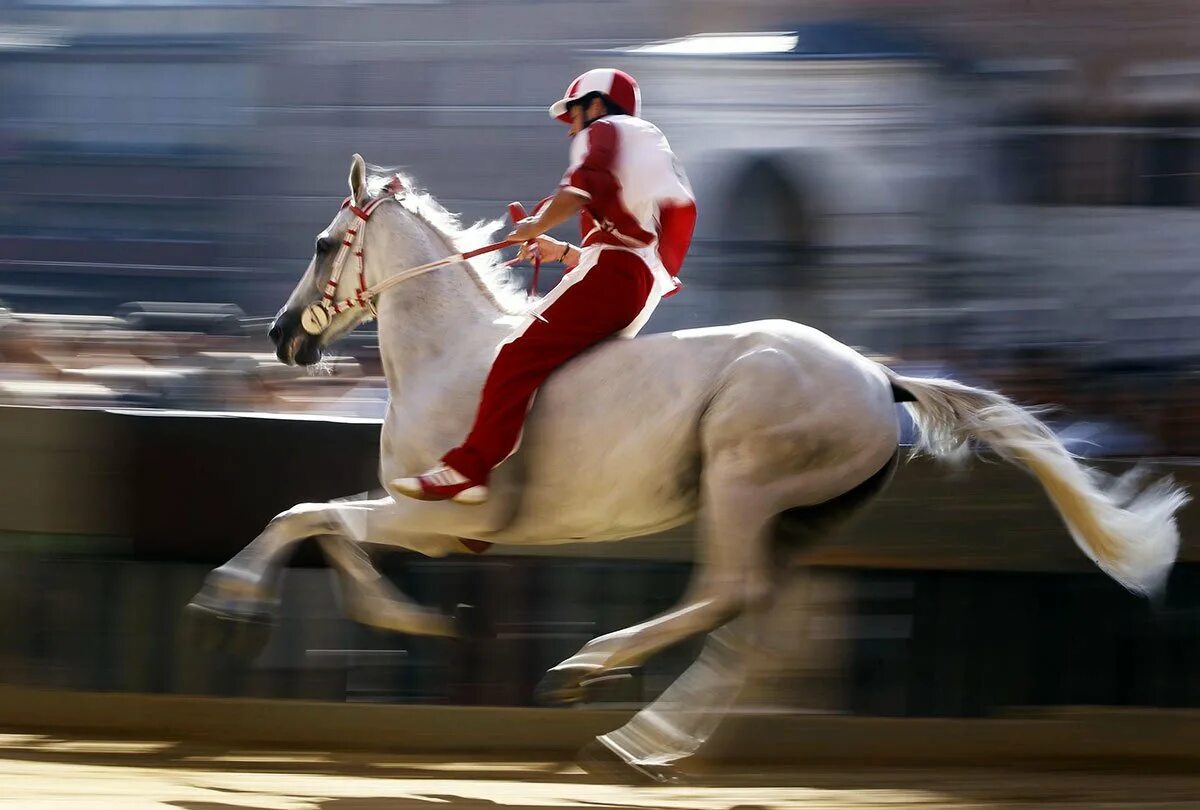 Наездник на скачке. Наездник на скачке. Наездник на скачке. Наездник на скачке. Наездник на скачке.