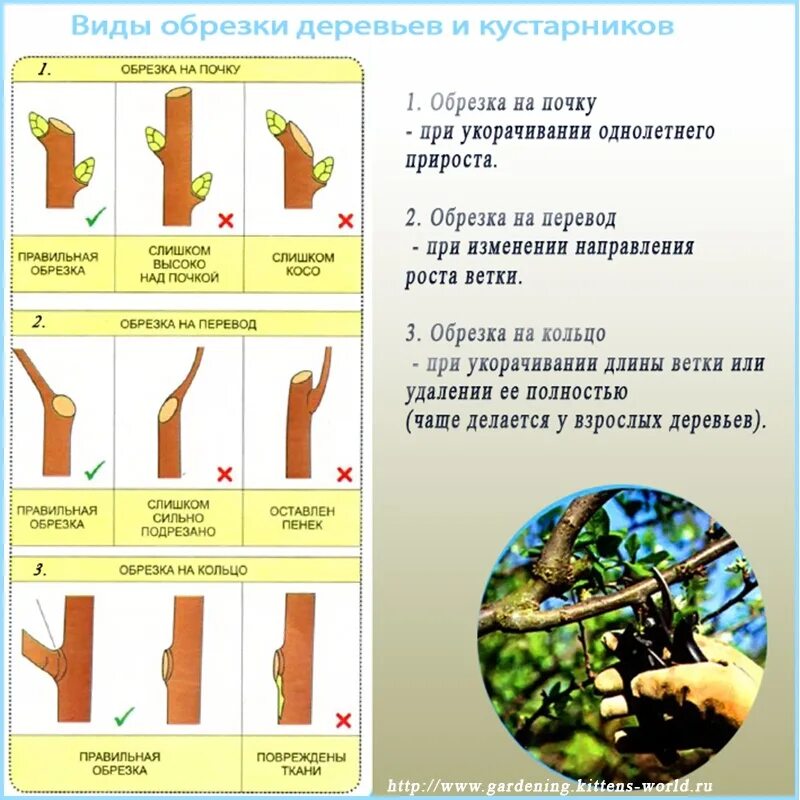 Как обрезать сообщение