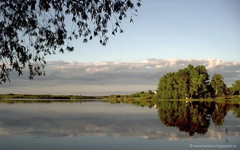 Озеро Волго Тверская область. Оз.Волго селище. Озеро Волго рыбалка. Озеро Волго база отдыха.