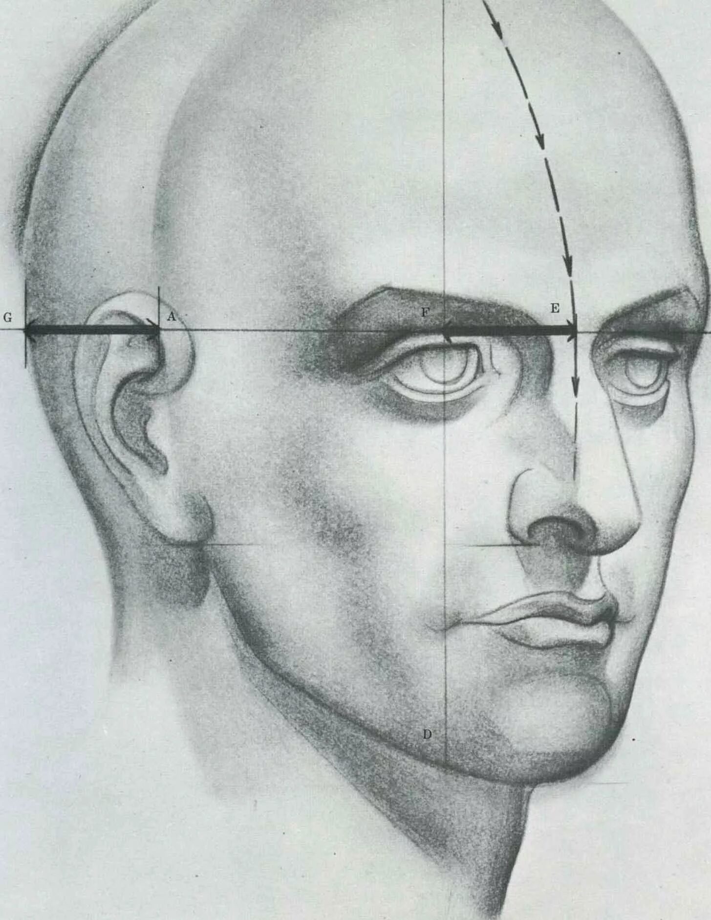 У взрослого человека голова занимает. Портрет в ракурсе. Наброски мужской головы. Эскиз головы человека. Рисование головы человека.
