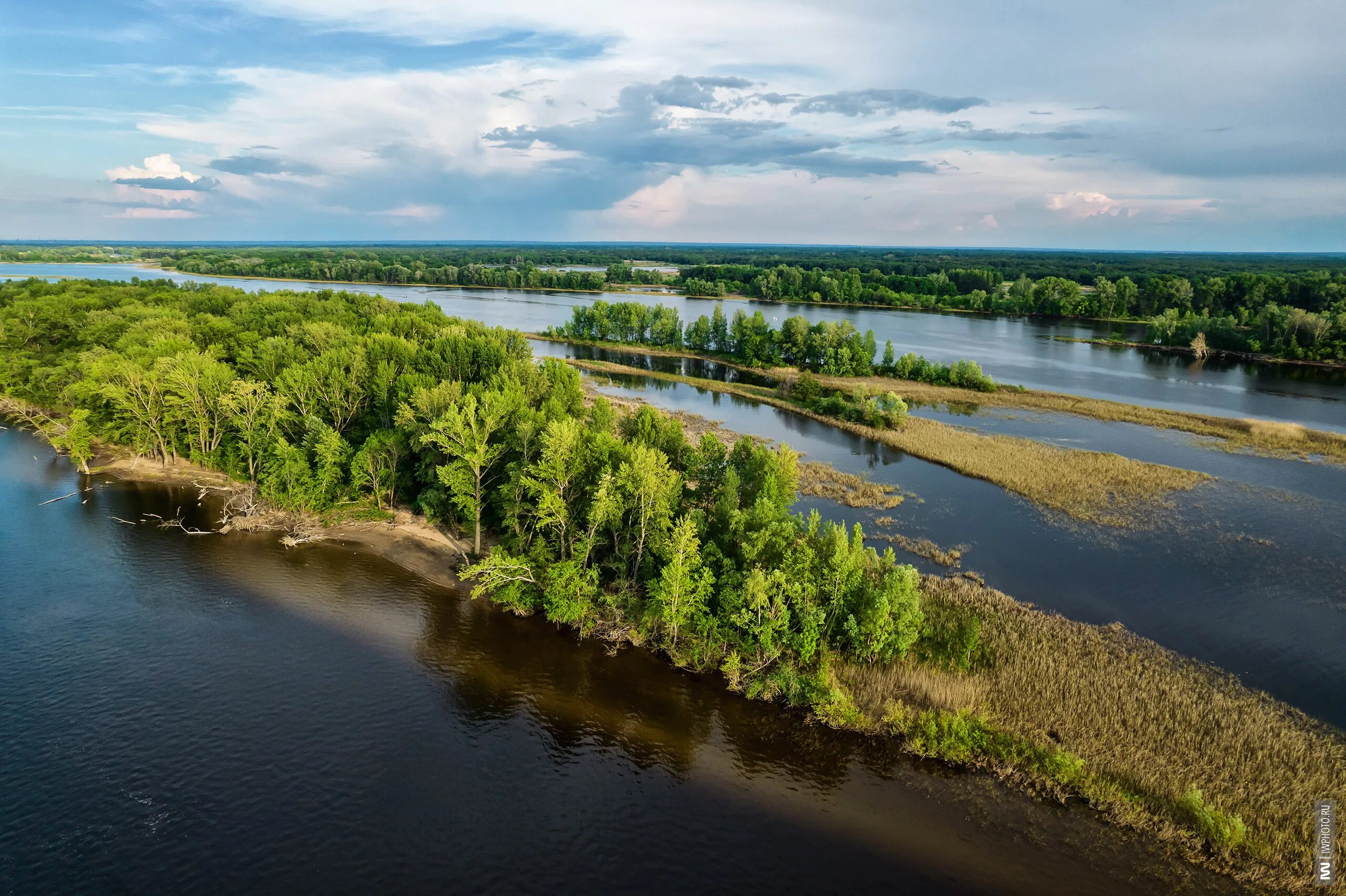 Вода в реке волга в самаре. Васильевские острова Безенчукский район. Васильевские острова на Волге. Васильевские острова Волга Самарская область.