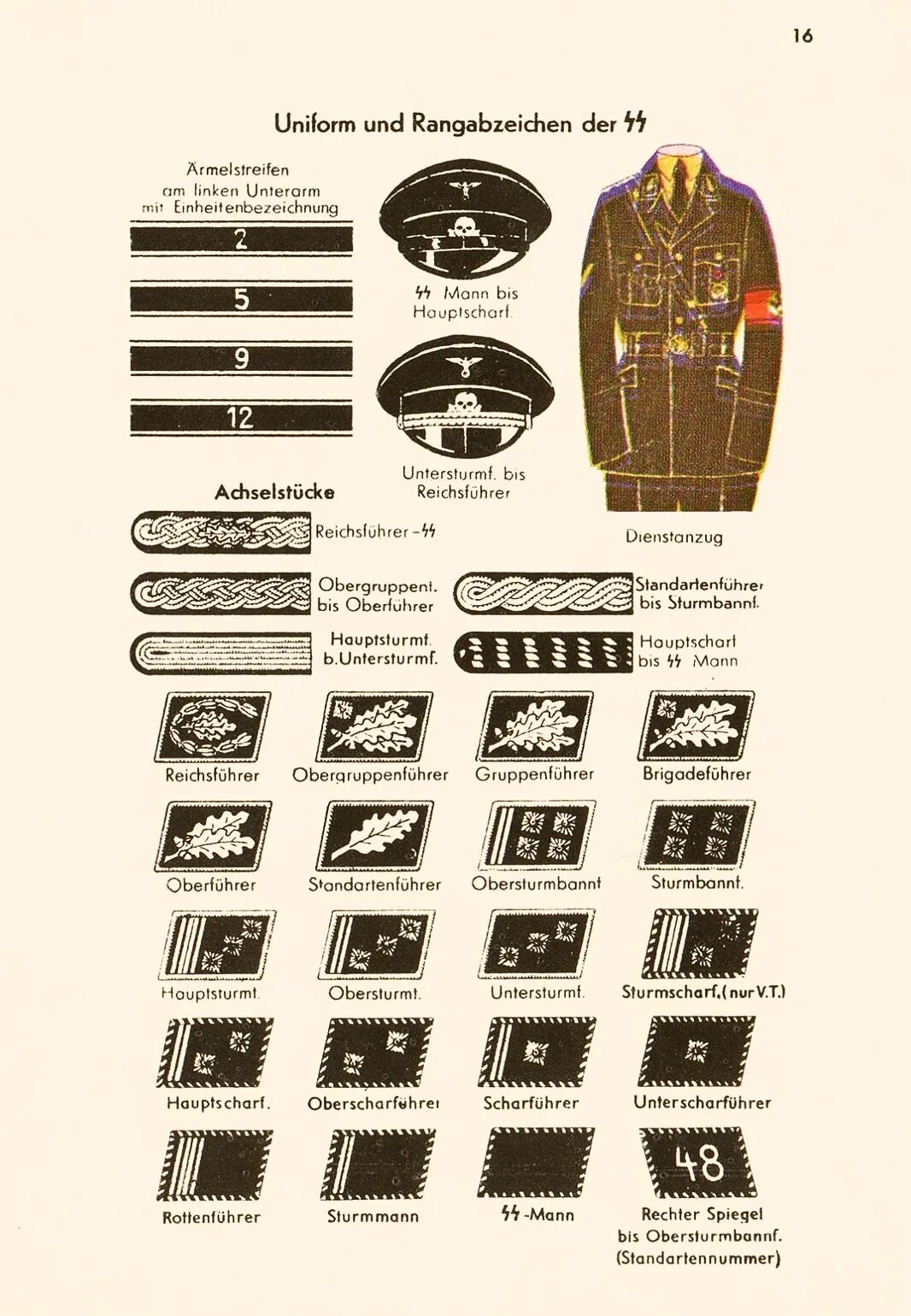 Ss ranks. Звания вермахта 1939-1945. Звания в Германии 1941-1945. Воинские звания Германии 1941-1945. Звания 3го рейха.