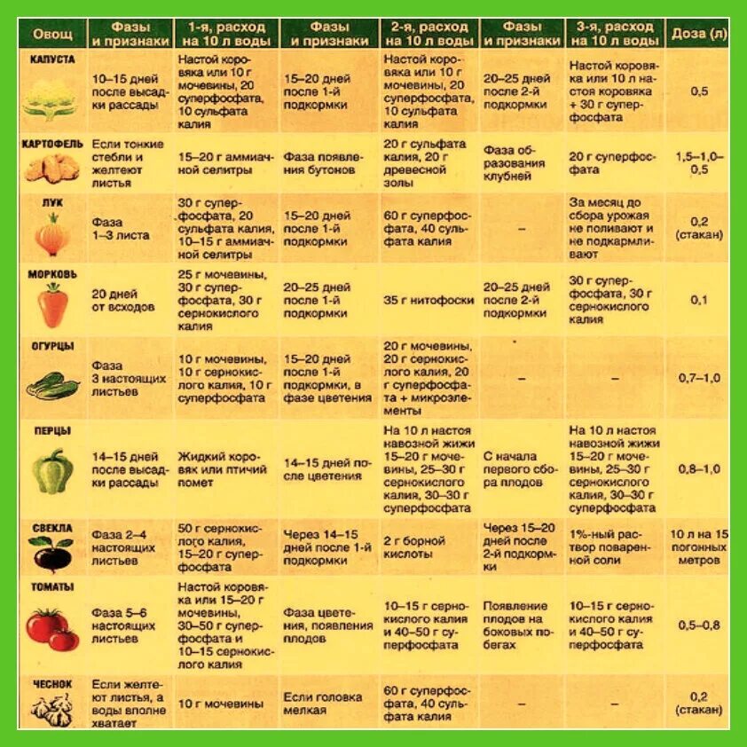 Какие овощи подкармливают. Таблица подкормки помидор в открытом грунте. Таблица внесения удобрений для томатов. Таблица внесения удобрений для рассады томатов. Таблица подкормки растений удобрениями.