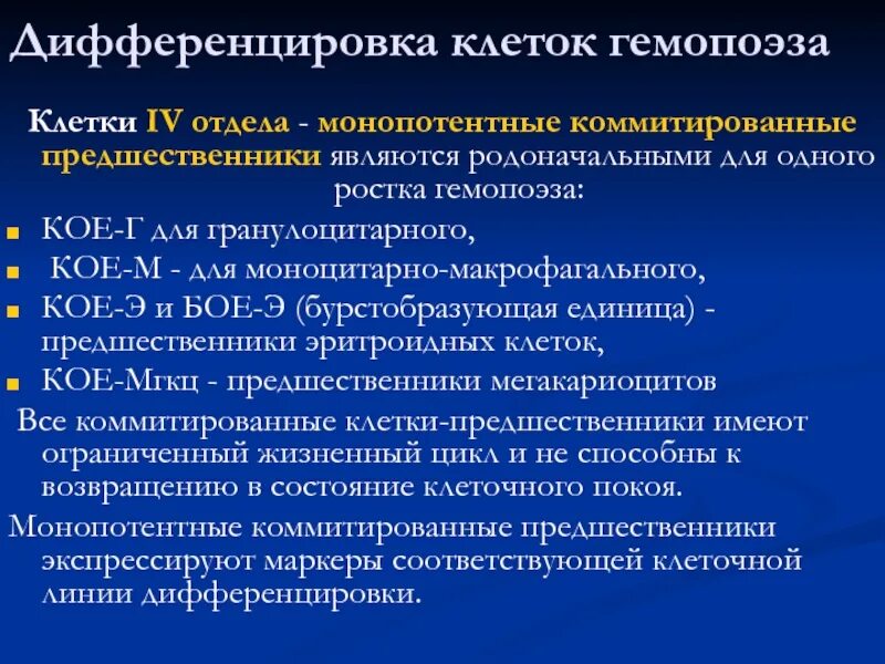 Клетки гемопоэза. Теории гемопоэза. Клетки предшественники гемопоэза. Схема гемопоэза. Коммитированные предшественники.