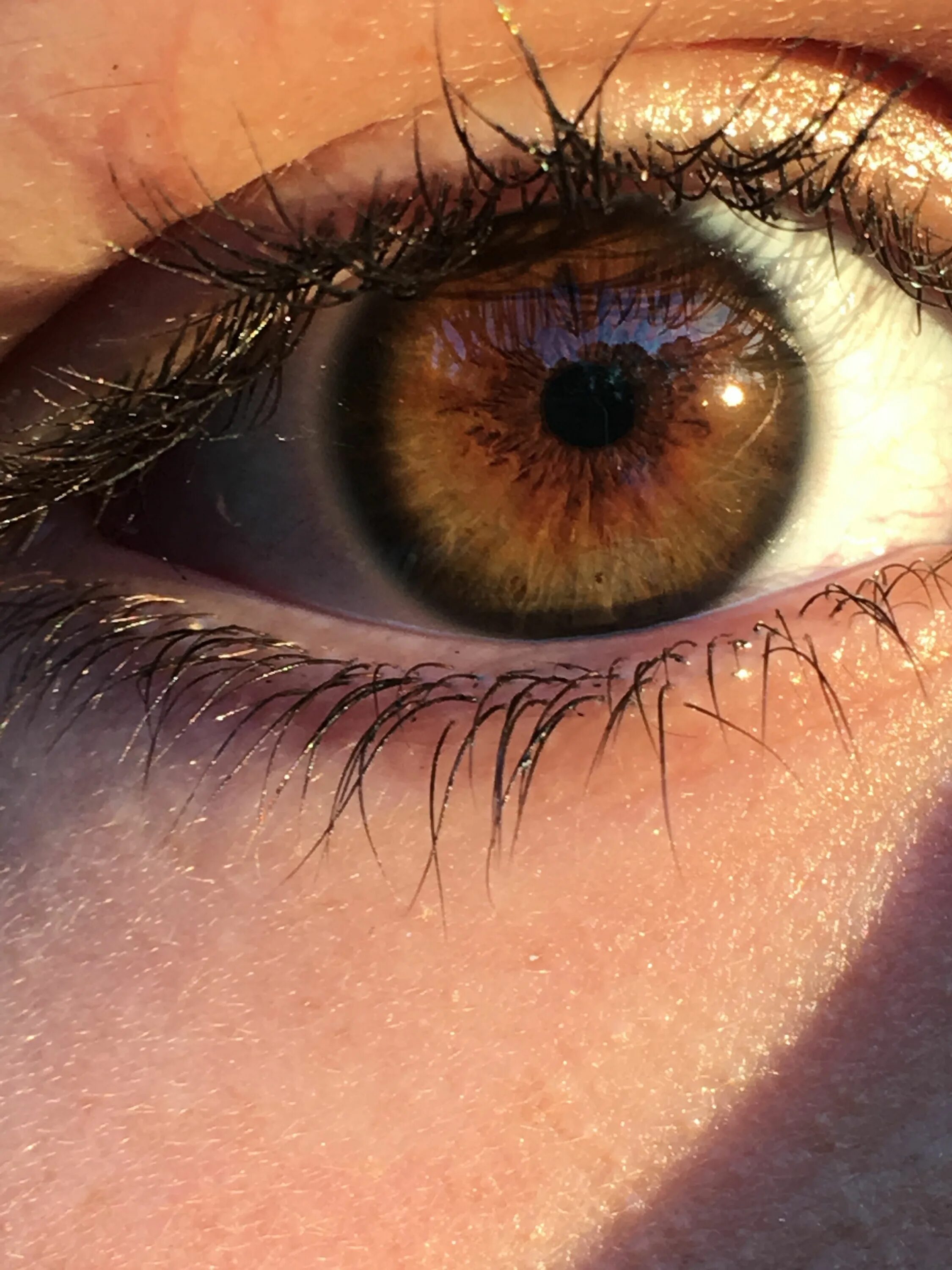 Коричневые глазки. Хейзел цвет глаз. Hazel глаза. Hazel цвет глаз. Коричневые глаза.