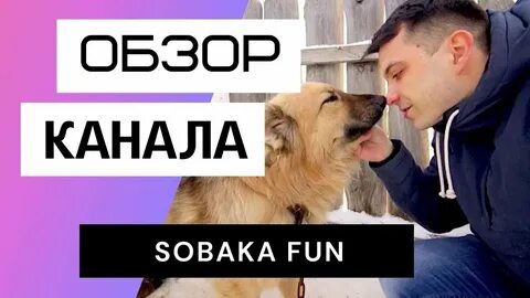 Собака фан
