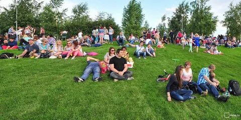 Друзья под открытым небом