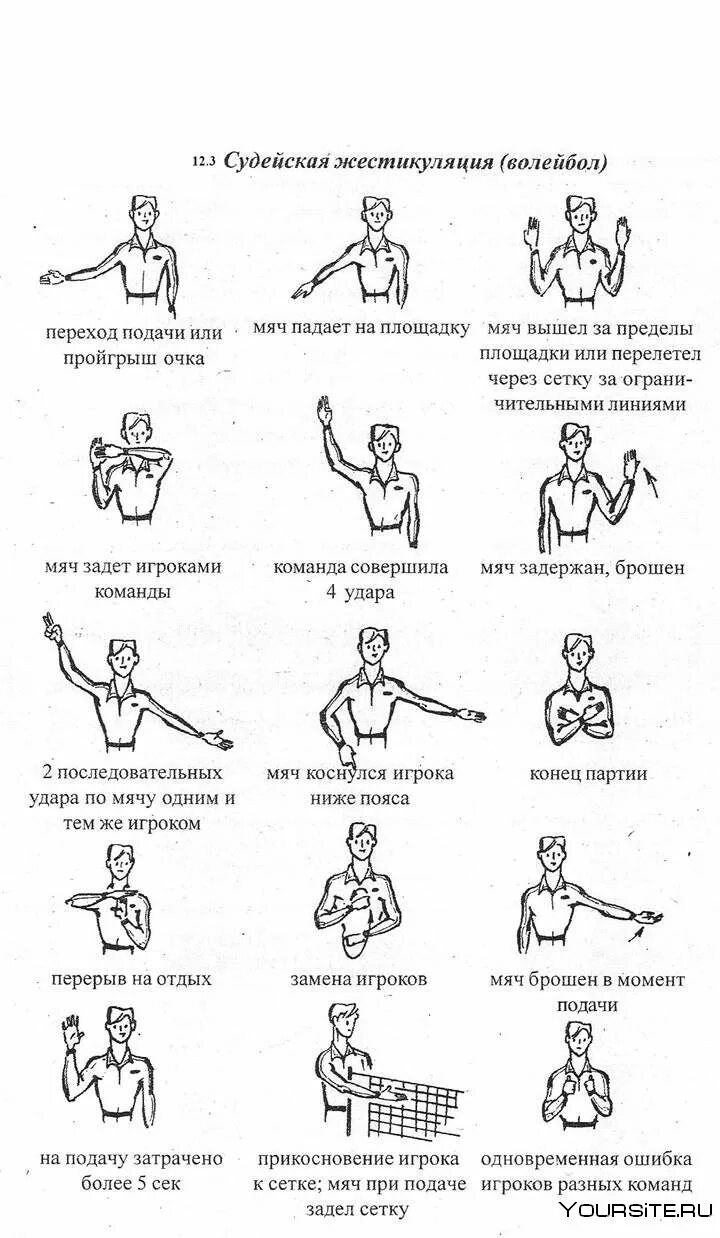 Что означают жесты в волейболе. Знаки судьи в волейболе. Жесты судей в волейболе в картинках с подписями основные. Жесты судьи в волейболе. Основные жесты арбитра в волейболе.