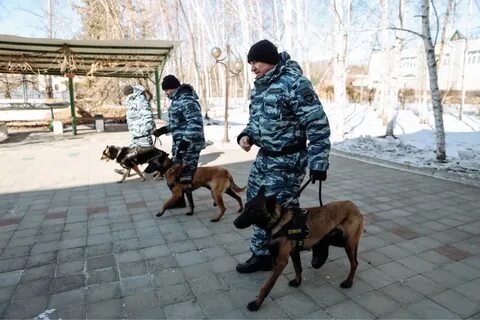 Кинологический клуб черноземья воронеж
