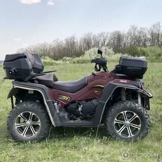 Рм 800 отзывы