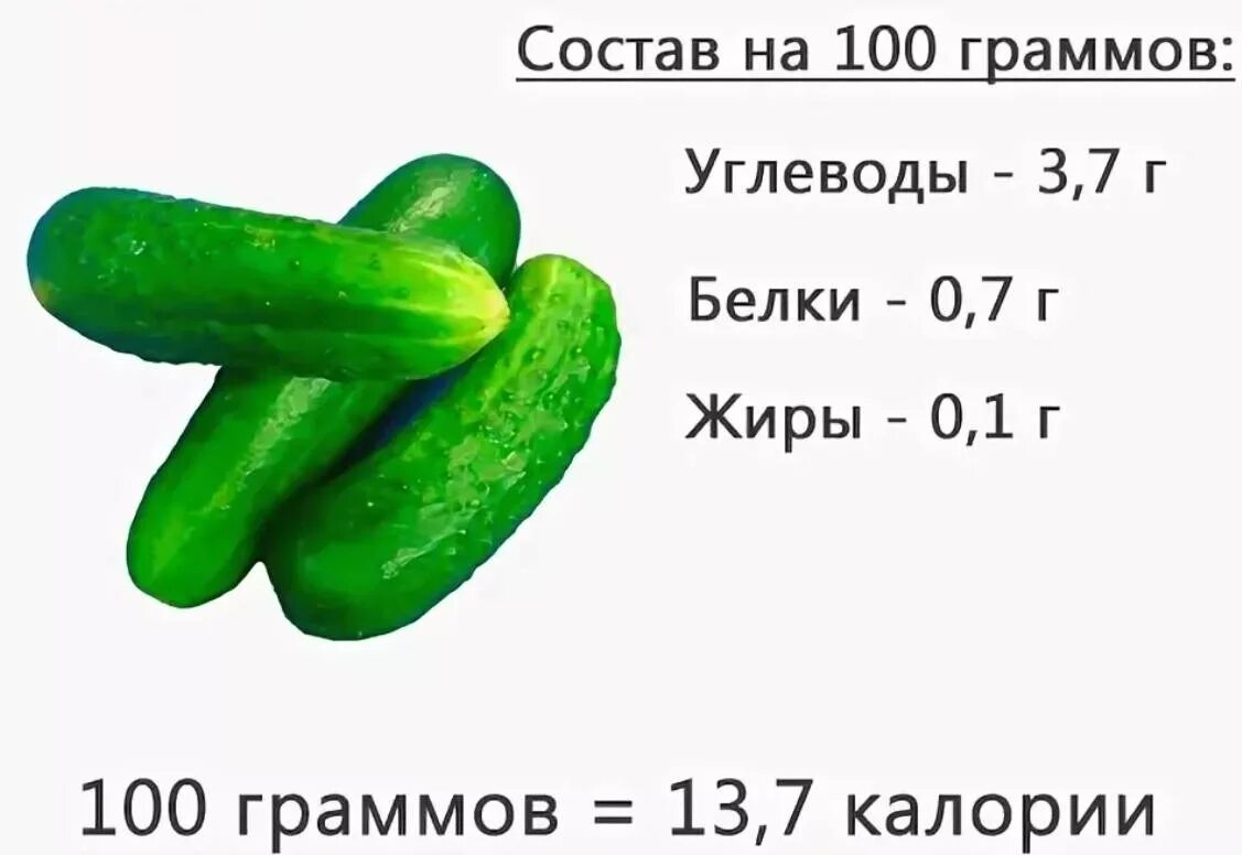 Огурец сколько калорий в 1 штуке. Энергетическая ценность огурца свежего. Огурец калорийность белки жиры углеводы. Огурец белки жиры углеводы. Сколько ккал в свежем огурце в 100.