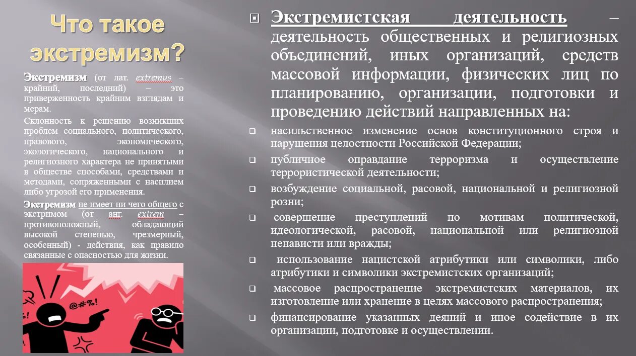 Современный экстремизм современной россии. Профилактика экстремистских проявлений. Экстремизм. Молодёжные экстремистские организации. Проявление экстремизма.