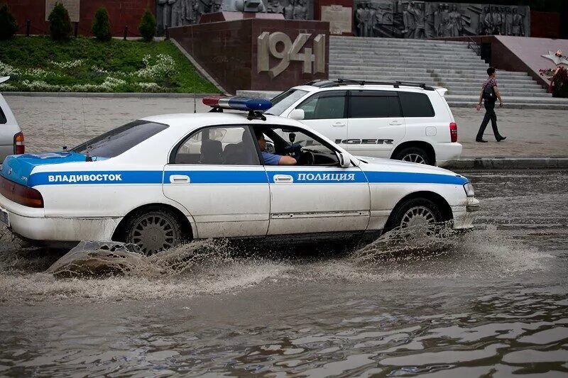 автомобили полиции приморского края. 202 года номера полицейские. полиция владивостока автопарк. номер полиции владивостока. номер полиции в россии владивосток.