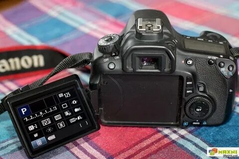 60 d