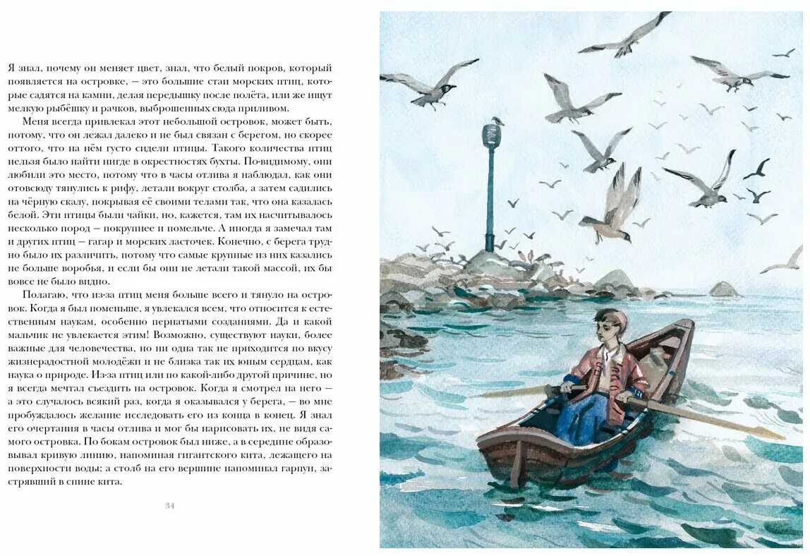 морской волчонок. майн рид морской волчонок иллюстрации. морской волчонок. морской волчонок книга. книги м рида морской волчонок.