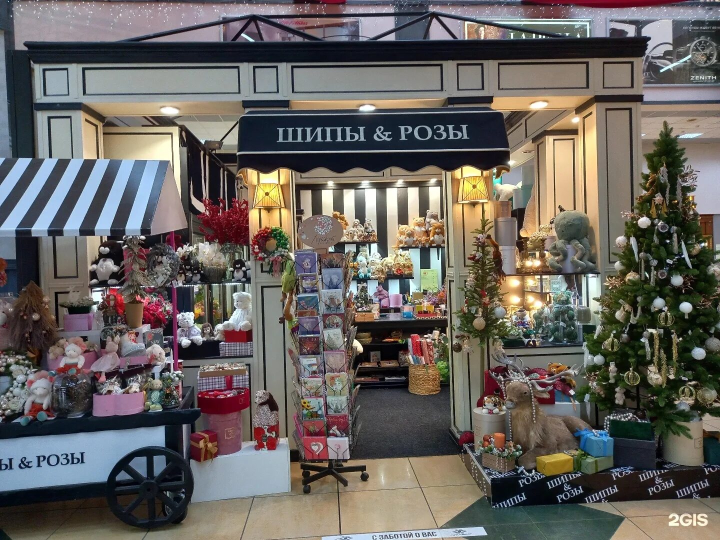 болты для harley davidson. магазины шипов. ремонтные шипы теком 500шт. магазин шипы и розы краснодар. магазины шипов.