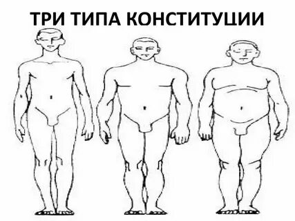 Тест виды конституции