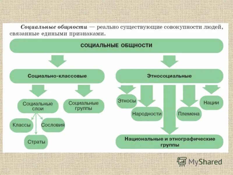 Социальные общности и группы тест 6 класс