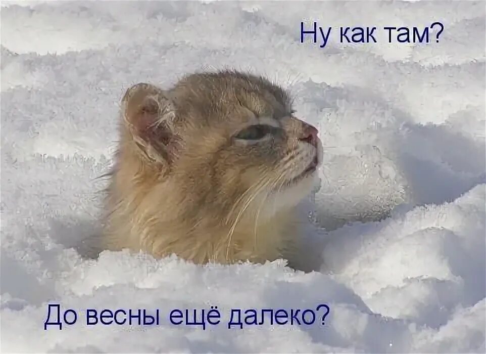 Не знаю еще долго