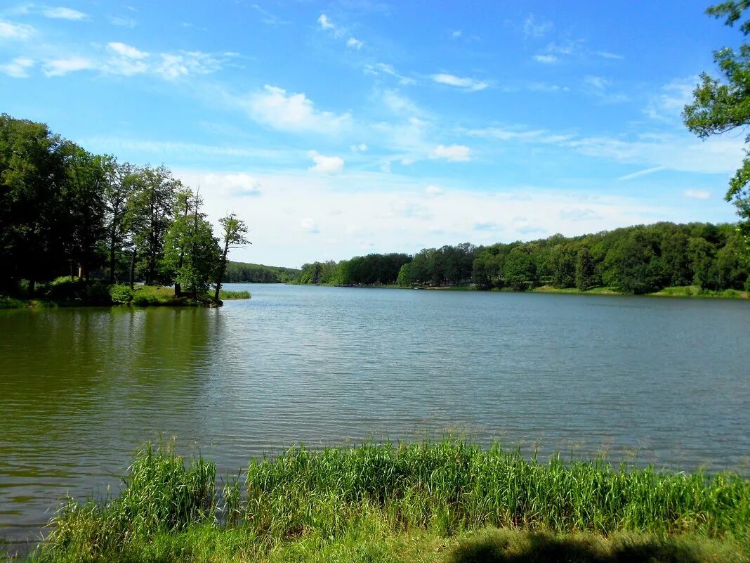 Река воронка тула. Водохранилище реки воронка тула. Река воронка тульская обл. Тульская воронка. Тульская воронка.